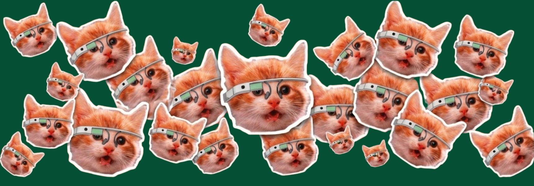 Cats with VR headsets